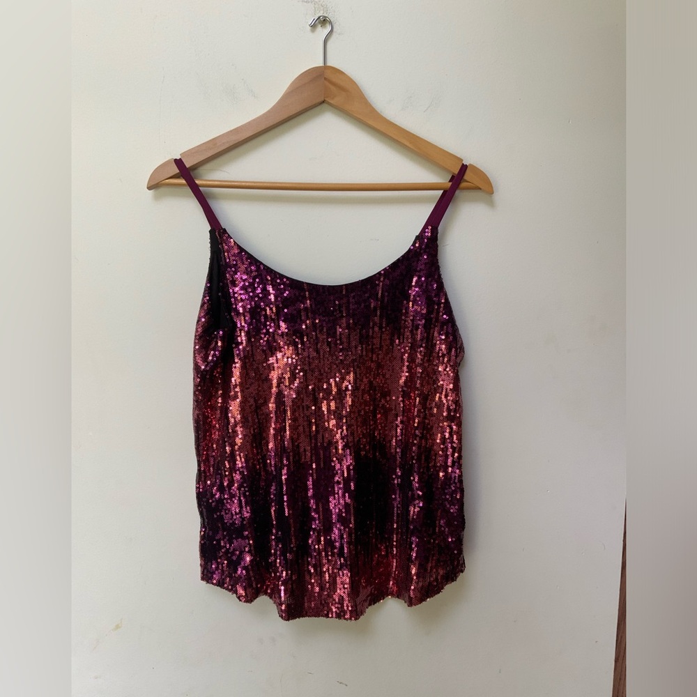 The Limited Sequin Scoop Neck Cami